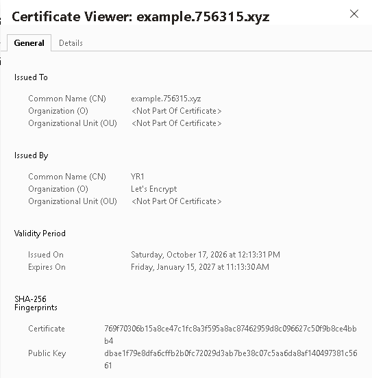 The Chrome certificate viewer for example.756315.xyz. The General tab shows Issued To, Issued By, Validity Period, and a SHA-256 Fingerprints section with a Certificate value beginning 769f7030 and a Public Key value beginning dbae1f79.